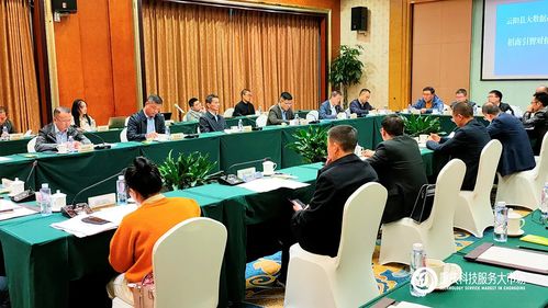 攜手云陽，數(shù)據(jù)賦能 重慶科技服務(wù)大市場助力大數(shù)據(jù)產(chǎn)業(yè)招商新篇章